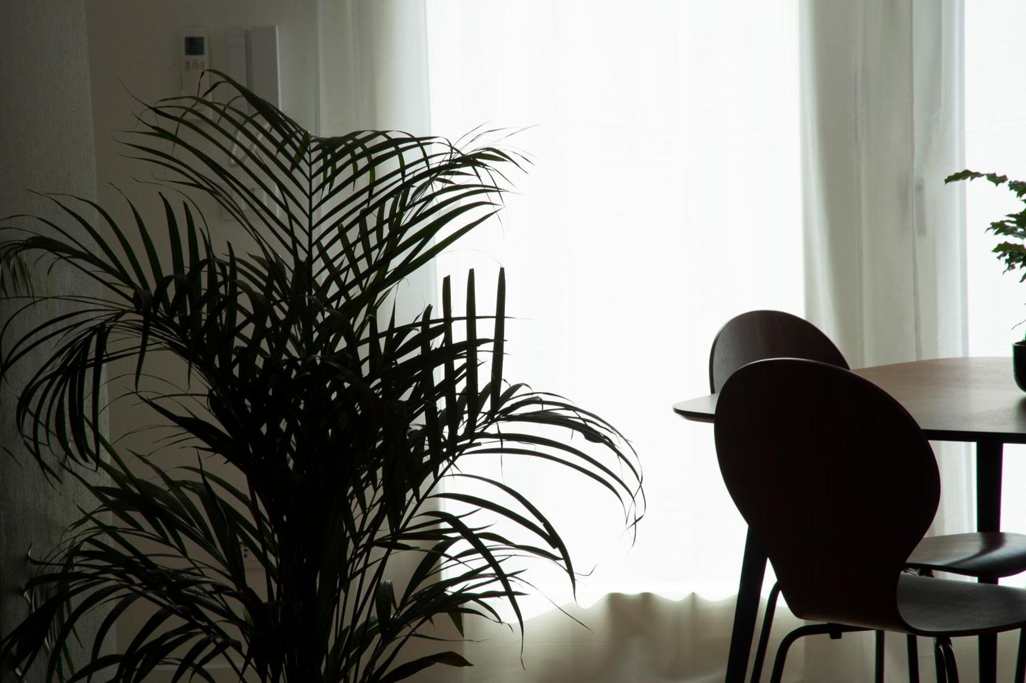 Ca Glera - Vintage Design Apartment Revine Lago Buitenkant foto
